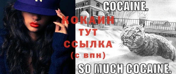 мяу мяу мука Заводоуковск