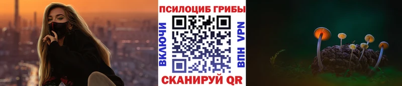 закладки  Сланцы  Псилоцибиновые грибы Magic Shrooms 