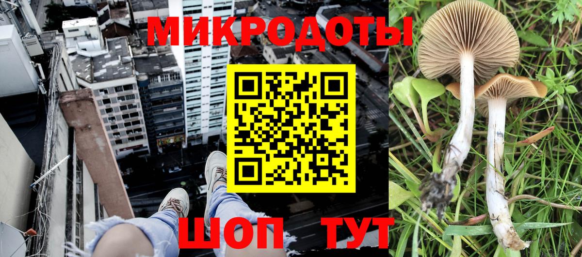 Галлюциногенные грибы Psilocybine cubensis  Галлюциногенные грибы Psilocybe  Сланцы  Вход с VPN 